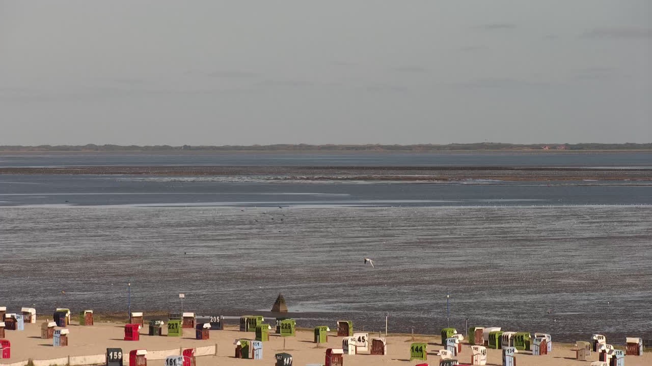 Archiv Foto Webcam Neuharlingersiel: Am Wattenmeer