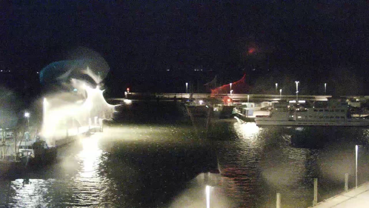 Archiv Foto Webcam Neuharlingersiel: Am Wattenmeer