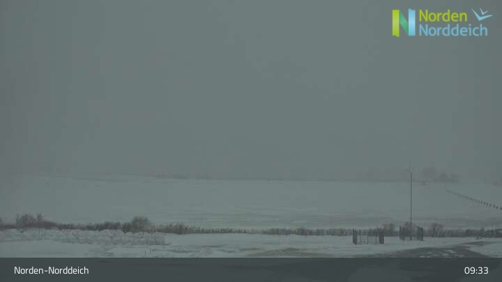 Archiv Foto Webcam Drachenwiese in Norden-Norddeich