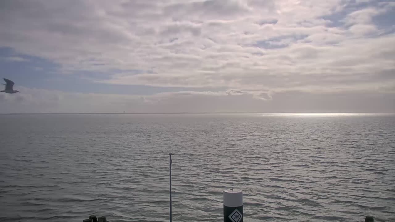 Archiv Foto Webcam Norderney: Hafen