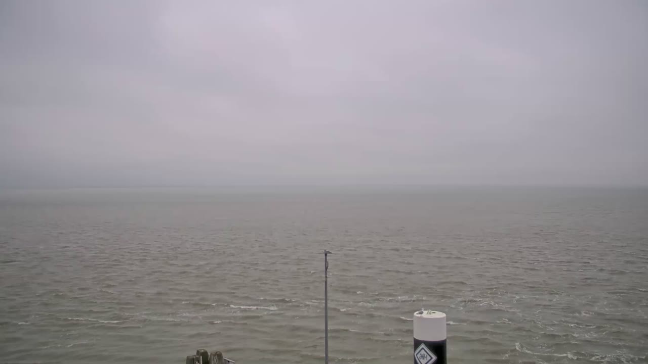 Archiv Foto Webcam Norderney: Hafen