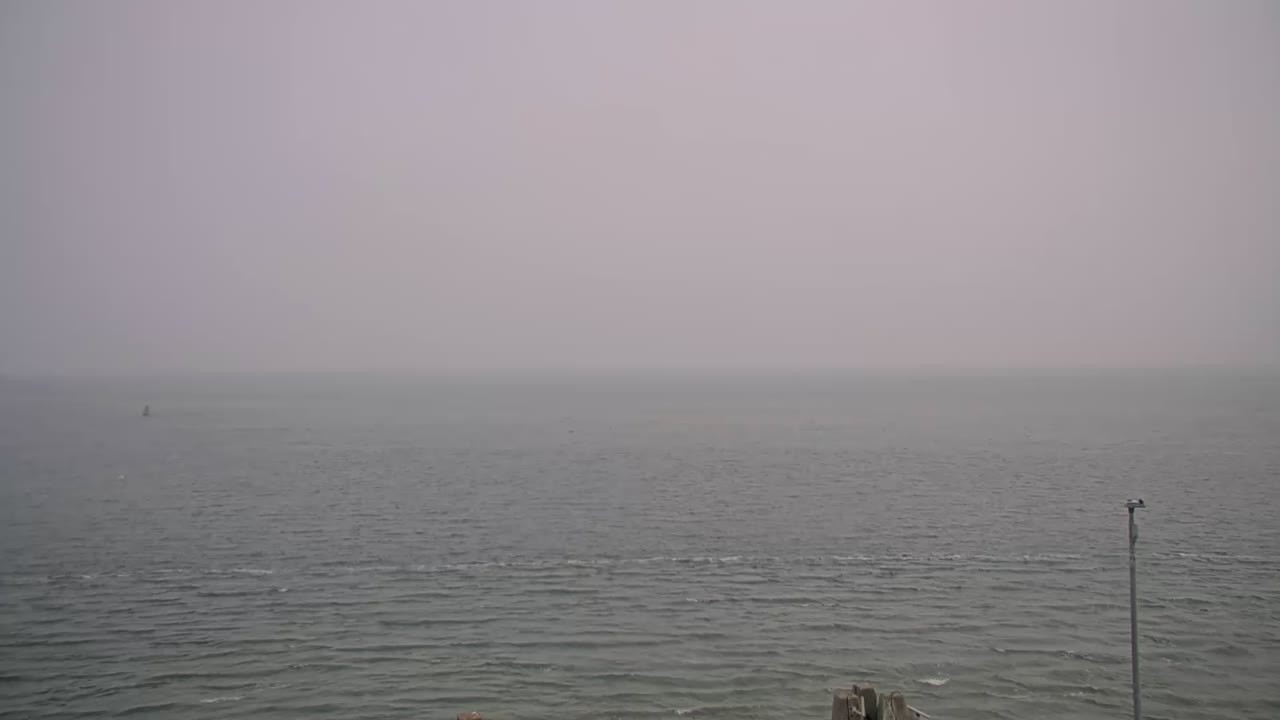 Archiv Foto Webcam Norderney: Hafen