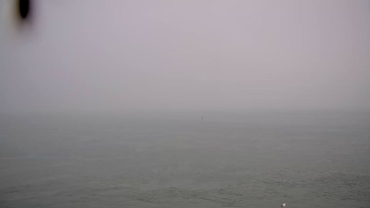 Archiv Foto Webcam Norderney: Hafen