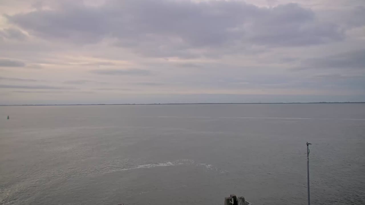 Archiv Foto Webcam Norderney: Hafen