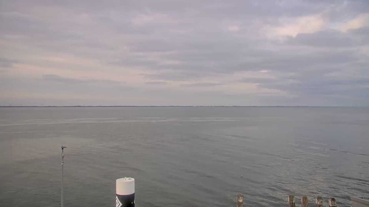 Archiv Foto Webcam Norderney: Hafen