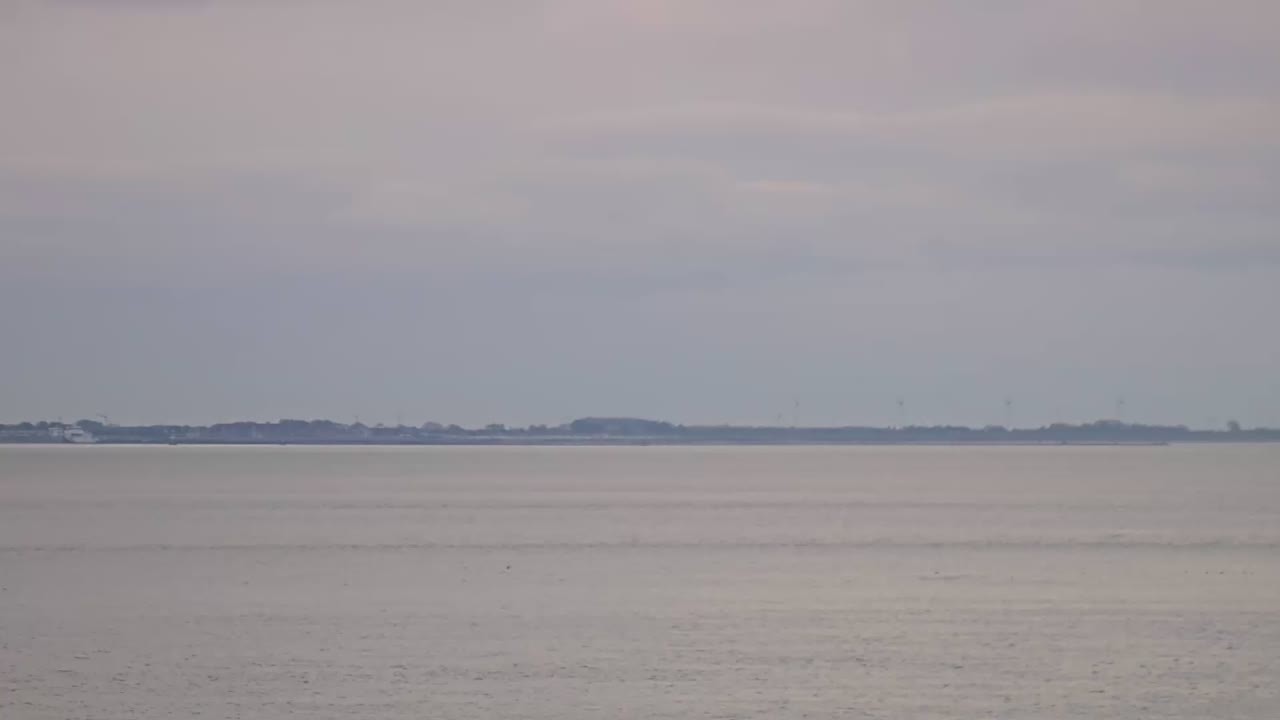 Archiv Foto Webcam Norderney: Hafen