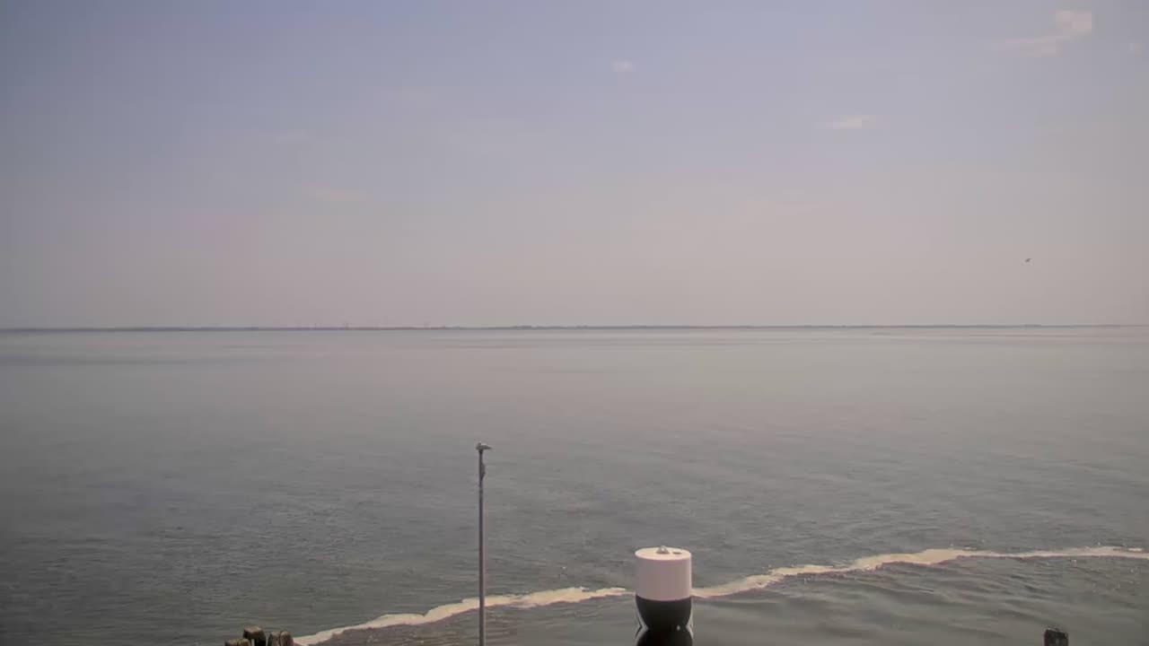Archiv Foto Webcam Norderney: Hafen