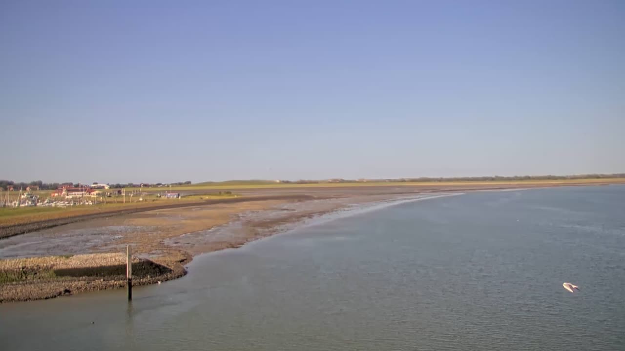 Archiv Foto Webcam Norderney: Hafen