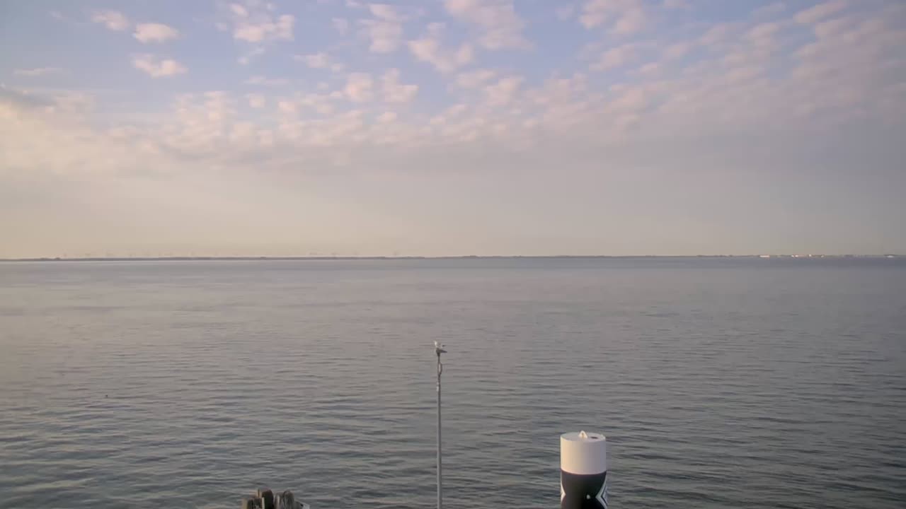 Archiv Foto Webcam Norderney: Hafen