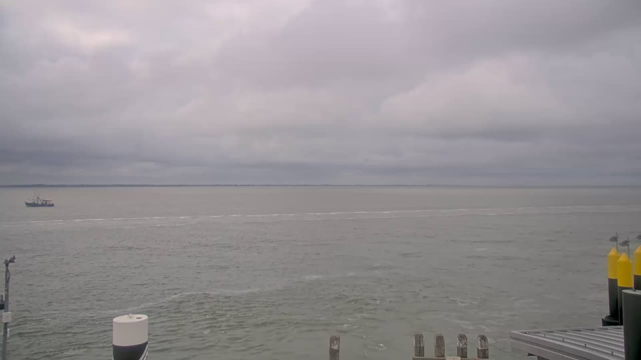 Archiv Foto Webcam Norderney: Hafen