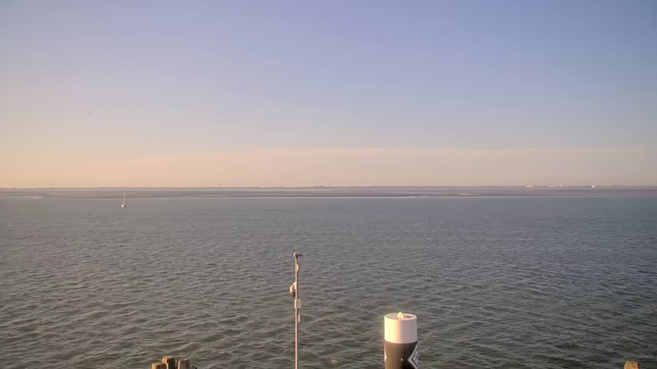Archiv Foto Webcam Norderney: Hafen