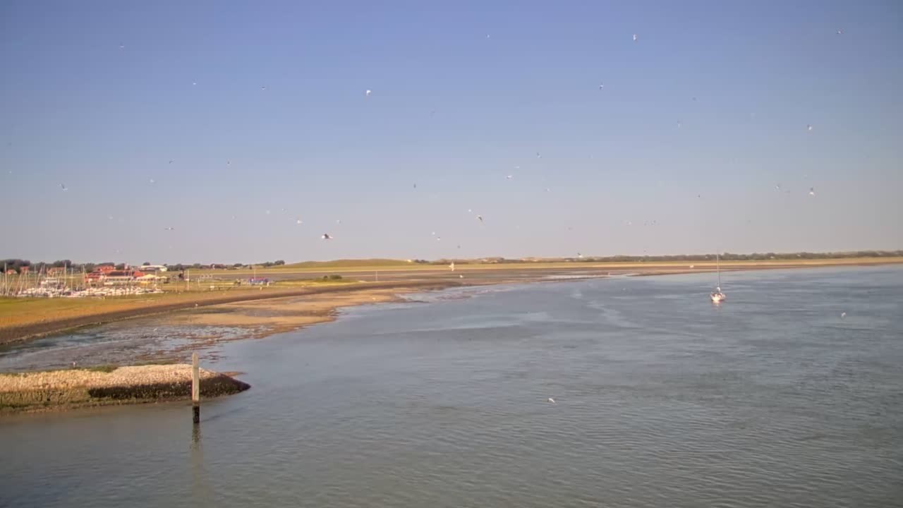 Archiv Foto Webcam Norderney: Hafen