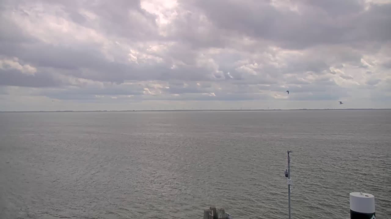 Archiv Foto Webcam Norderney: Hafen
