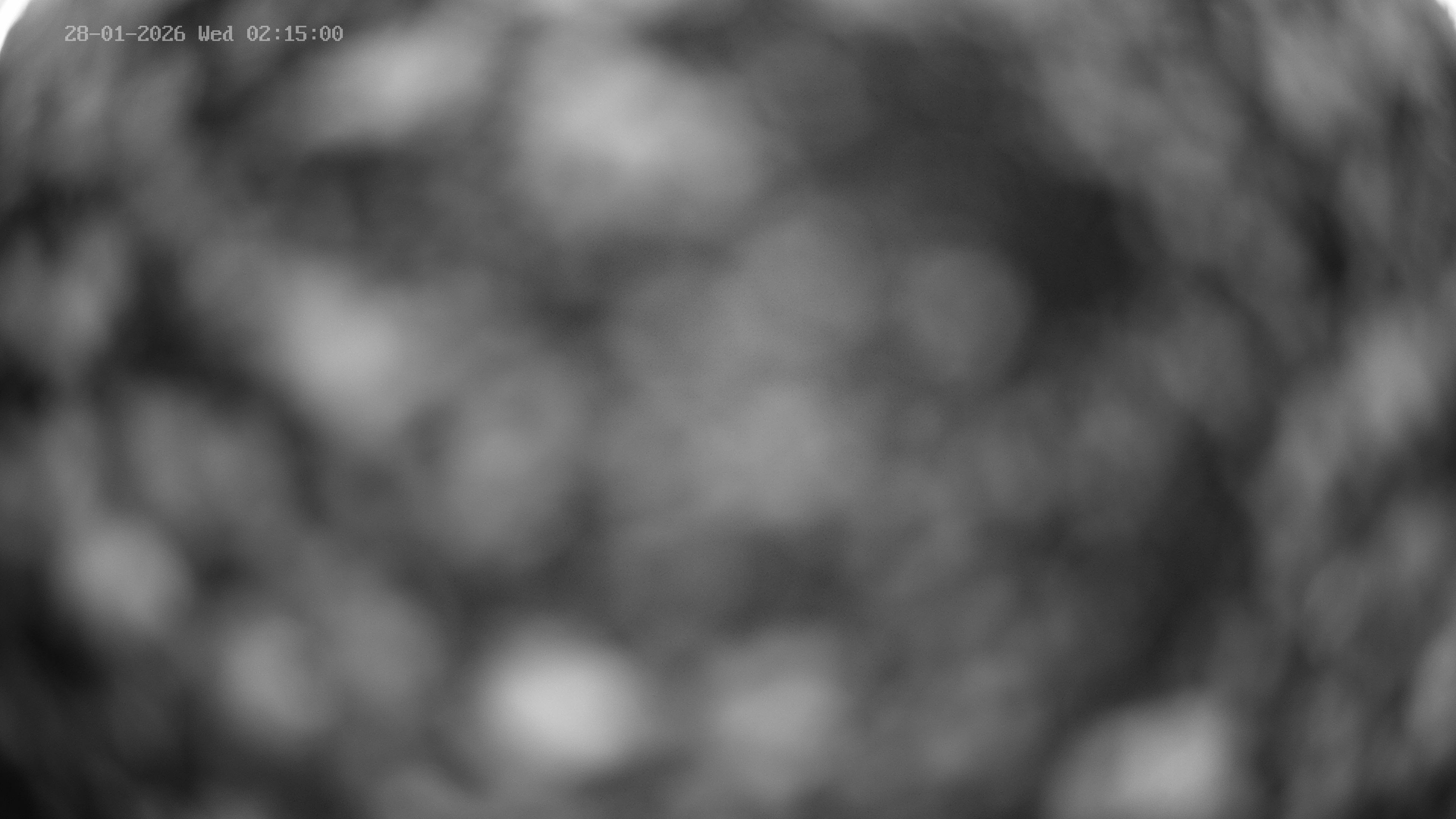 Archived image Webcam Venet: Astronomical observatory