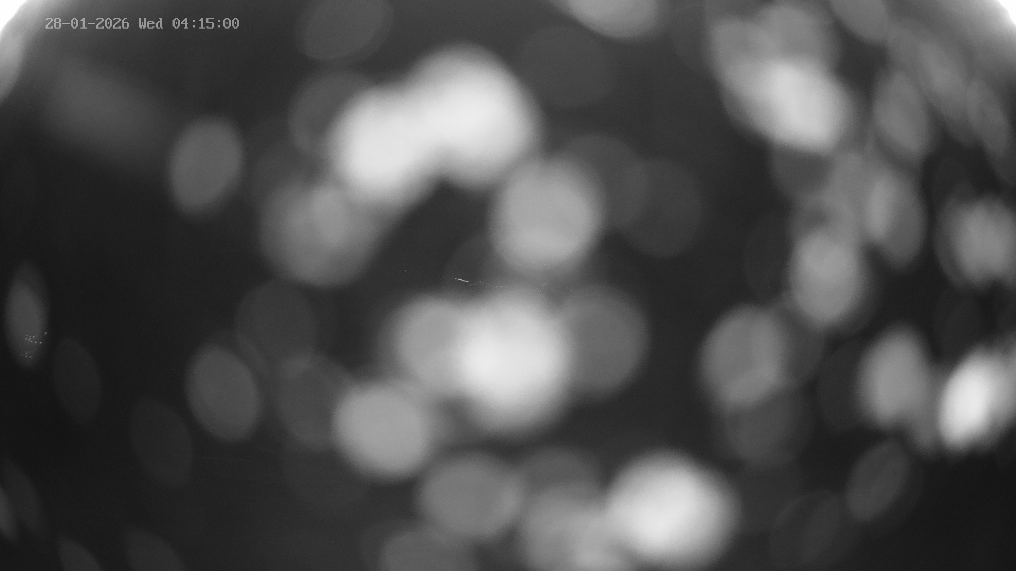 Archived image Webcam Venet: Astronomical observatory