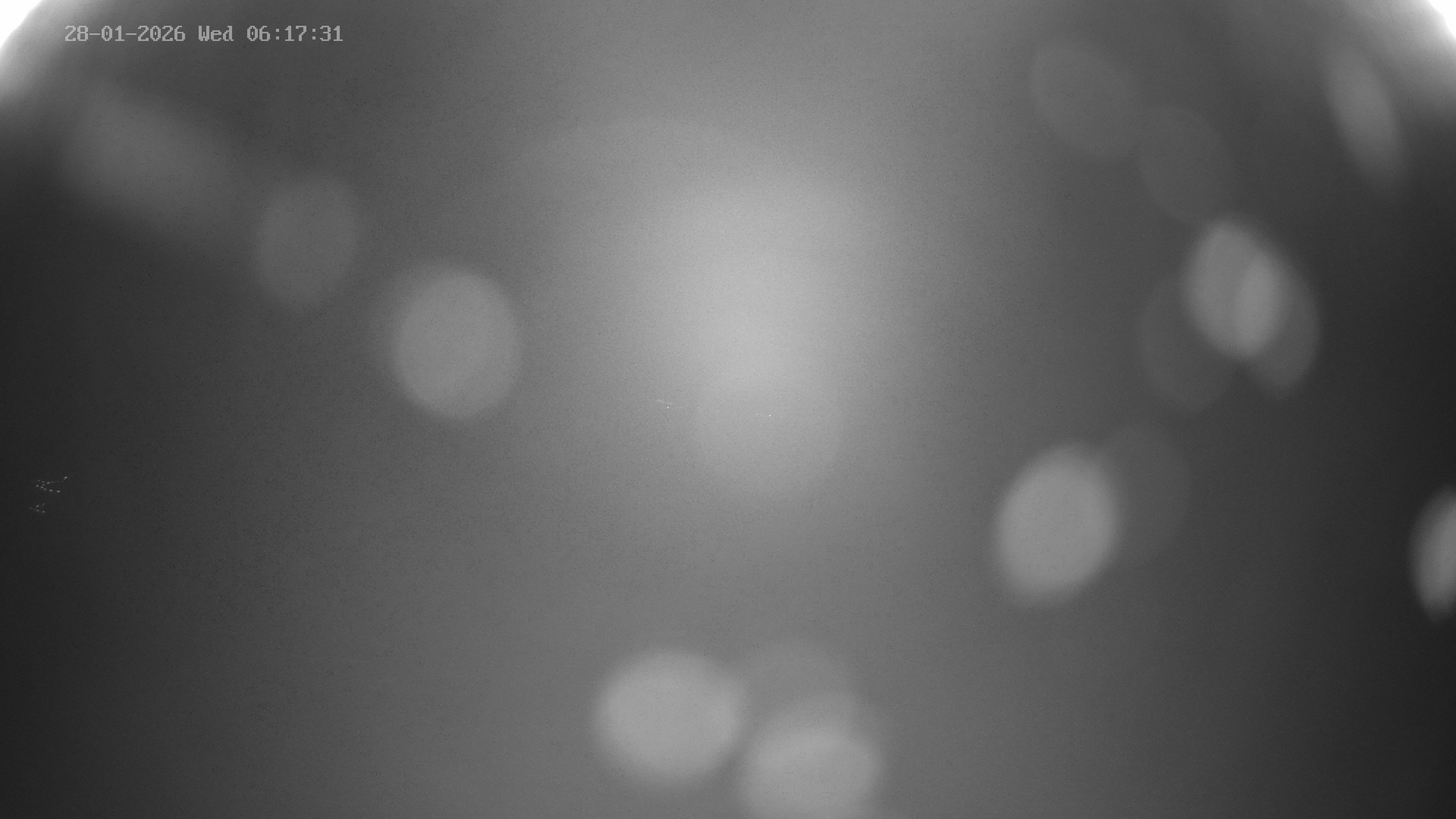 Archived image Webcam Venet: Astronomical observatory