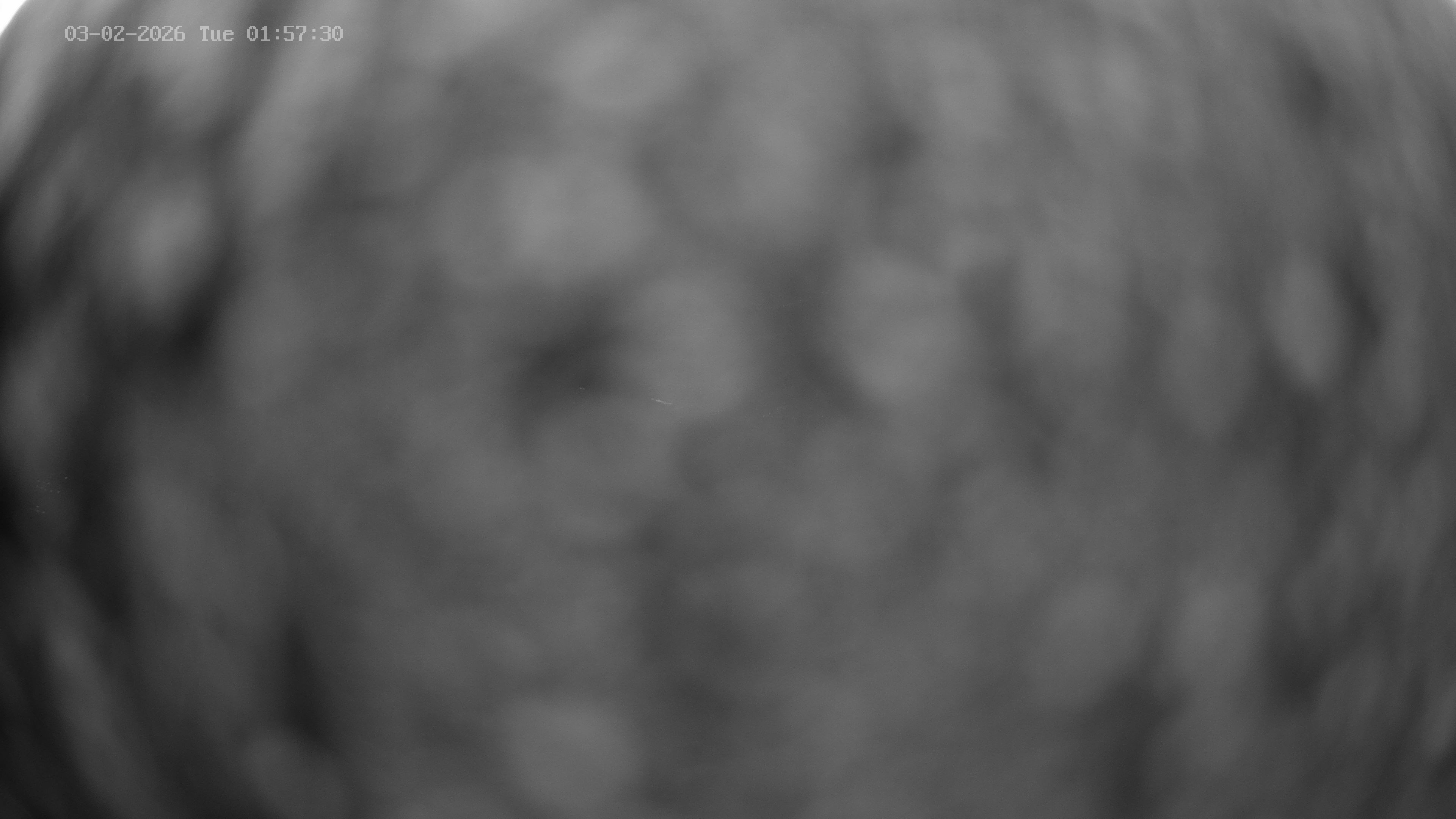 Archiv Foto Webcam Venet Gipfel Sternwarte