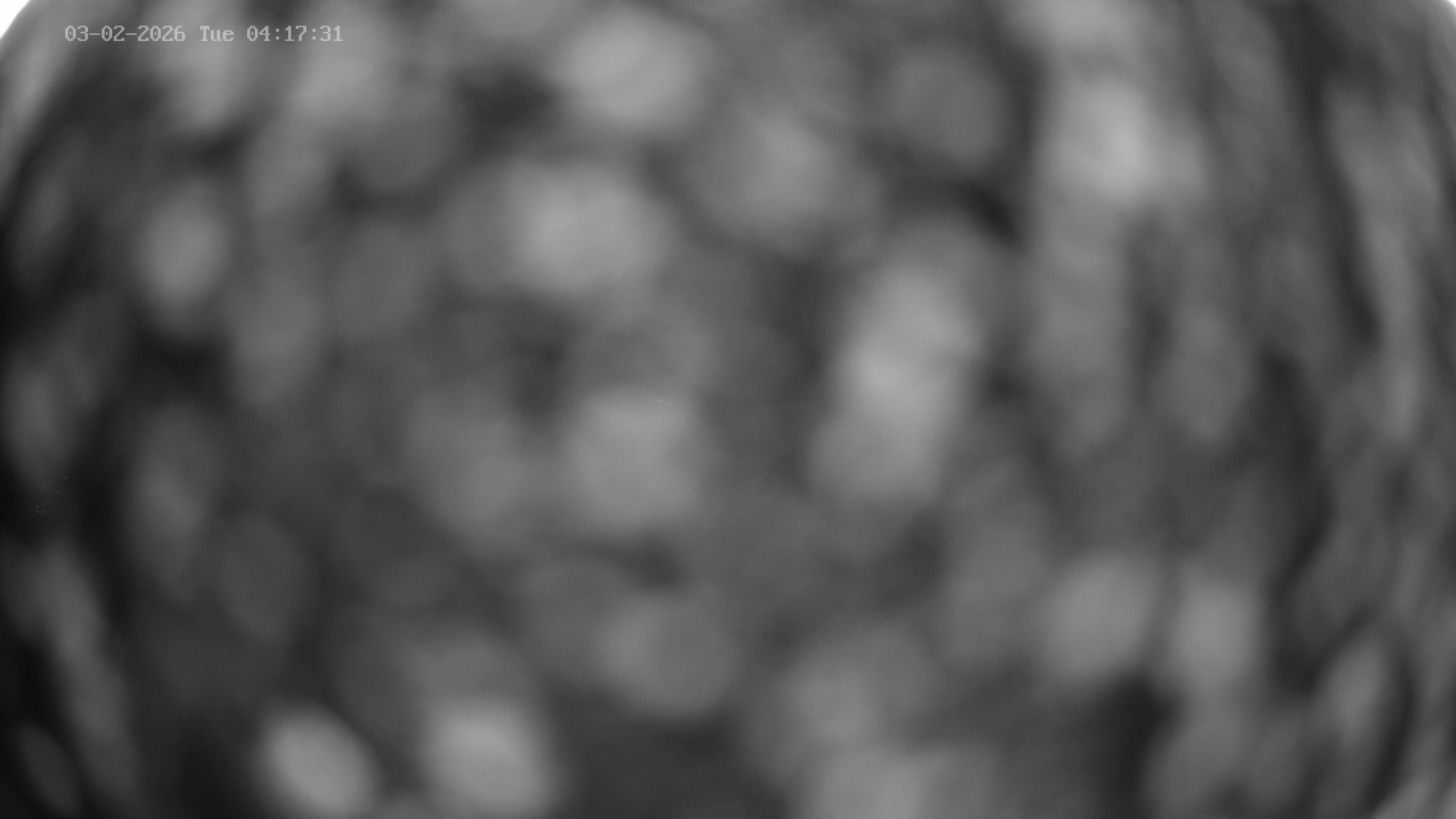 Archiv Foto Webcam Venet Gipfel Sternwarte