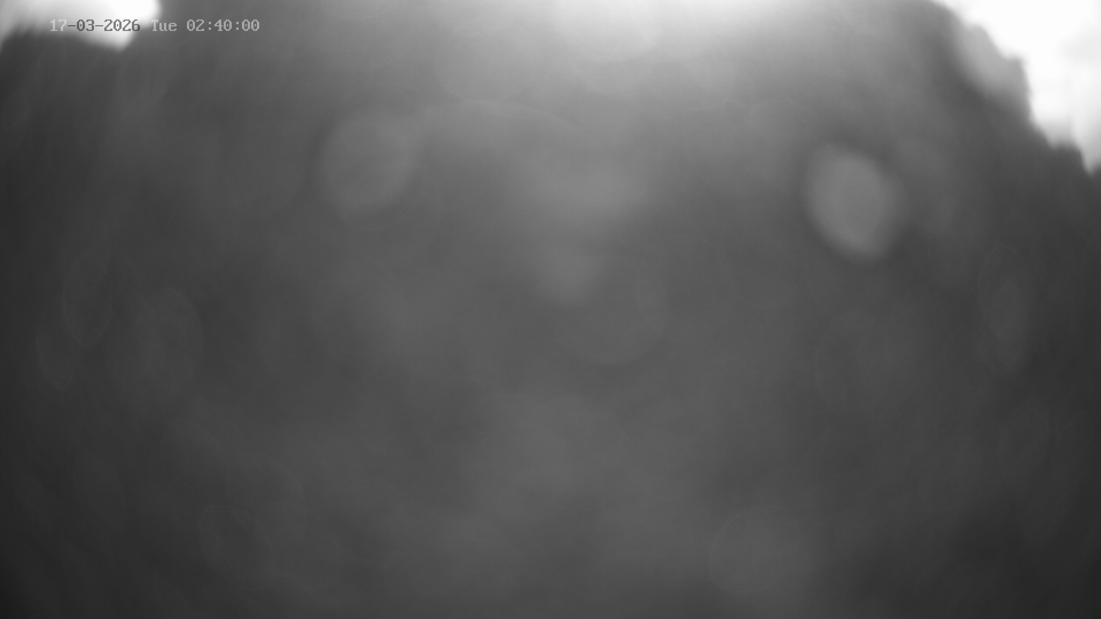 Archiv Foto Webcam Venet Gipfel Sternwarte