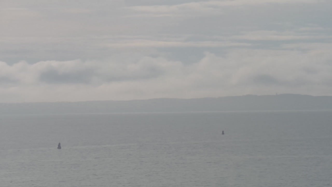 Archiv Foto Webcam Sassnitz an der Ostsee: Stadthafen