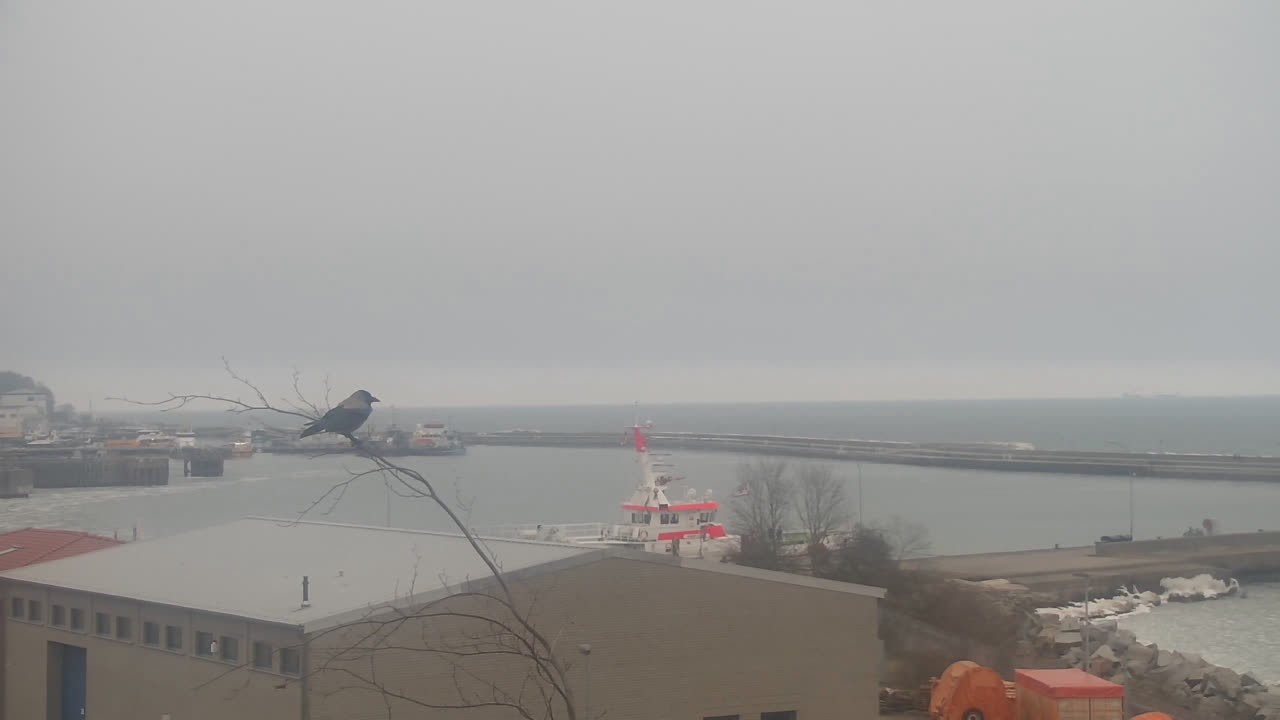 Archiv Foto Webcam Sassnitz an der Ostsee: Stadthafen