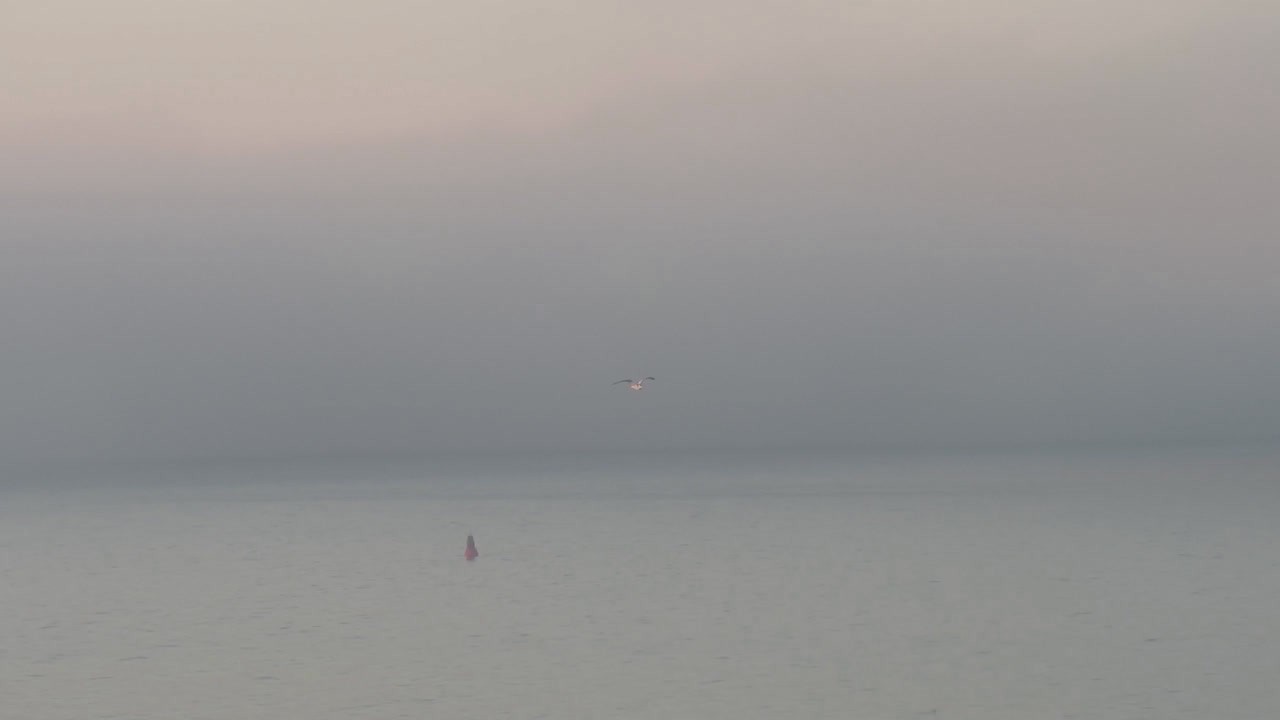 Archiv Foto Webcam Sassnitz an der Ostsee: Stadthafen