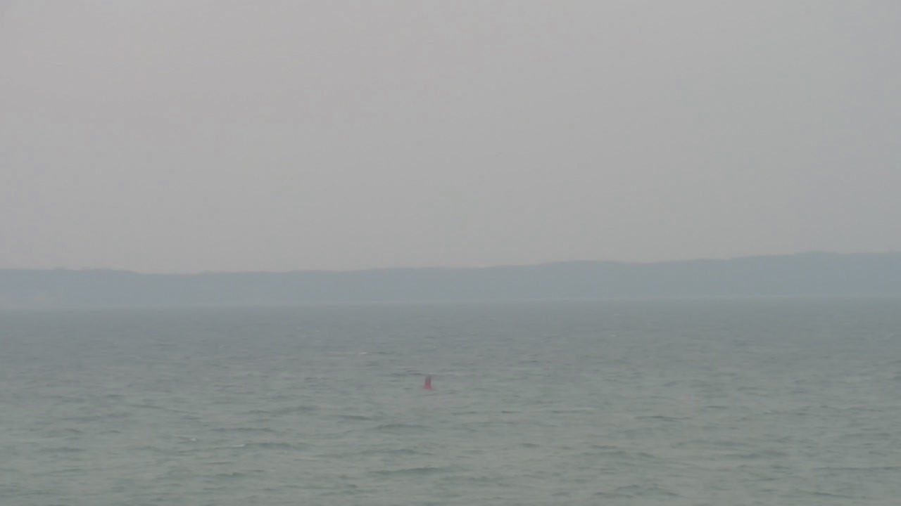 Archiv Foto Webcam Sassnitz an der Ostsee: Stadthafen