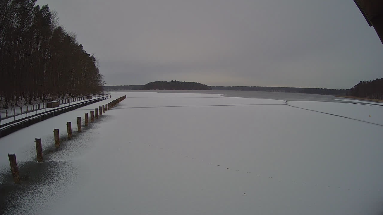 Archiv Foto Webcam Stechlinsee