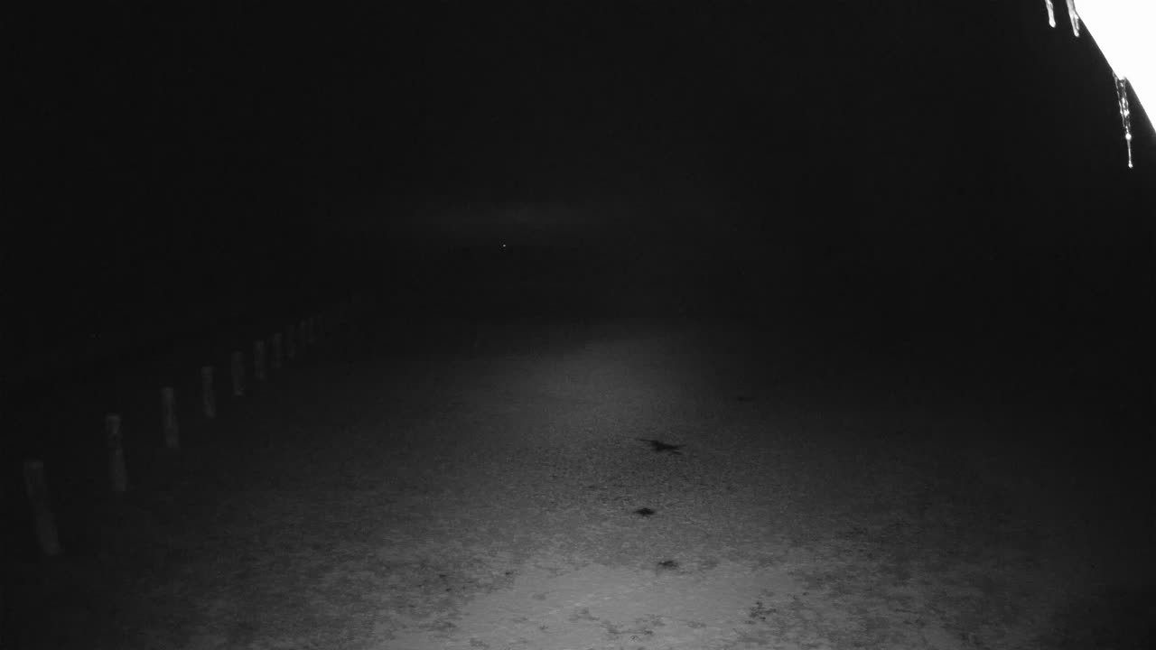 Archiv Foto Webcam Stechlinsee