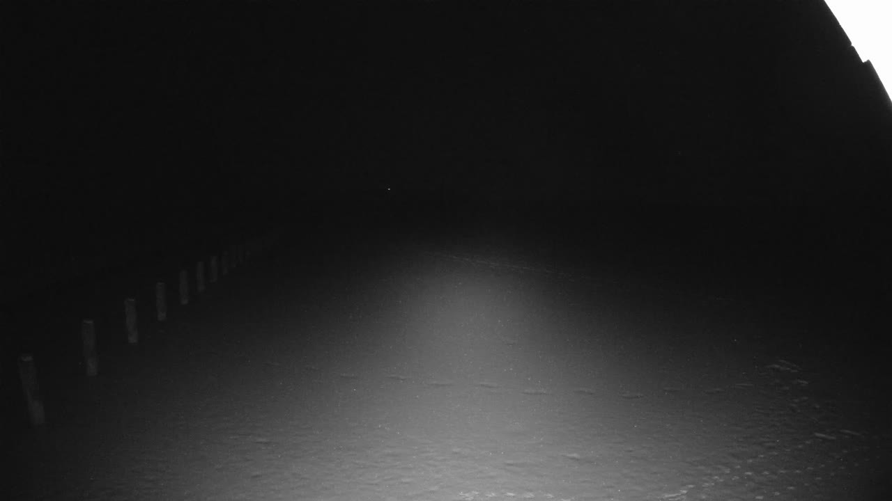 Archiv Foto Webcam Stechlinsee