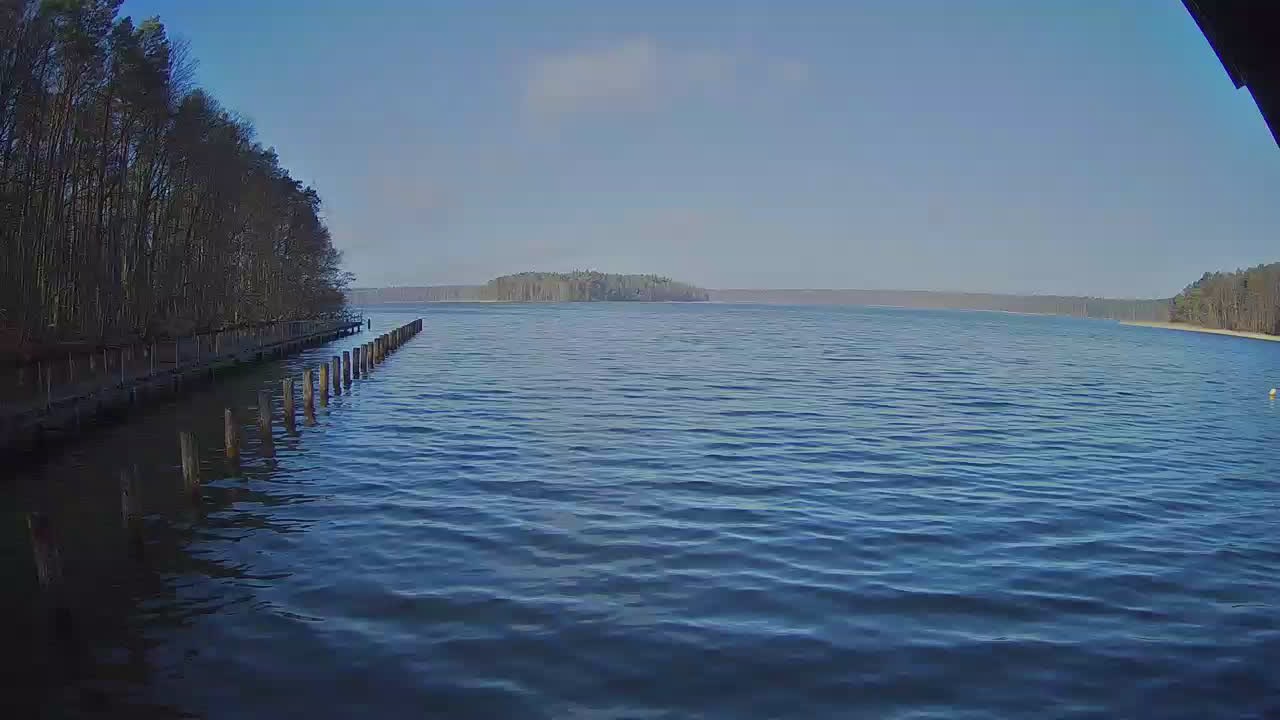 Archiv Foto Webcam Stechlinsee