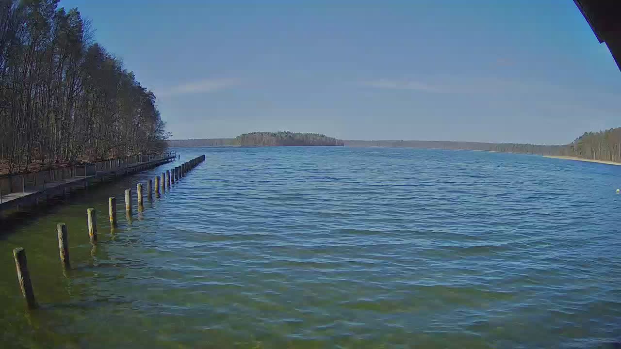 Archiv Foto Webcam Stechlinsee