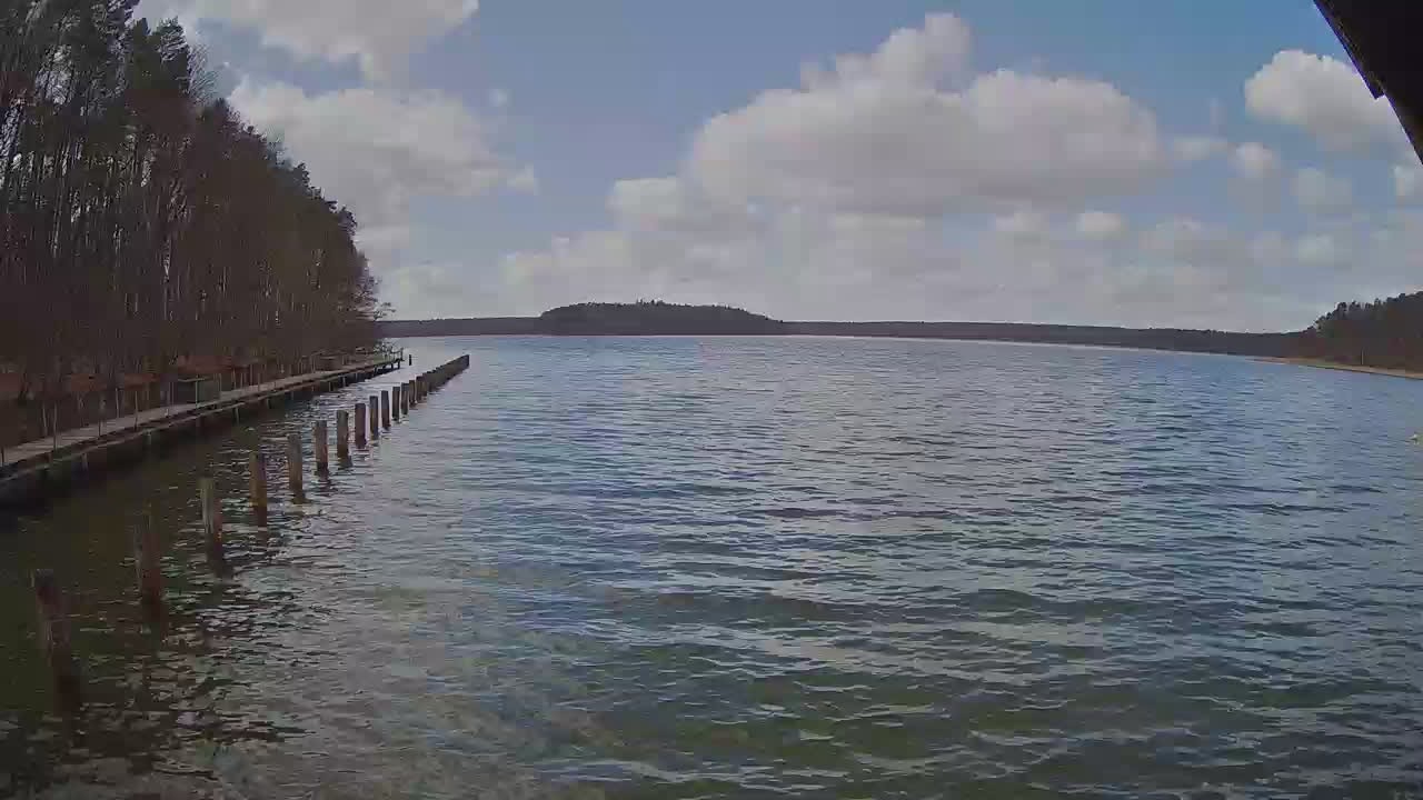 Archiv Foto Webcam Stechlinsee