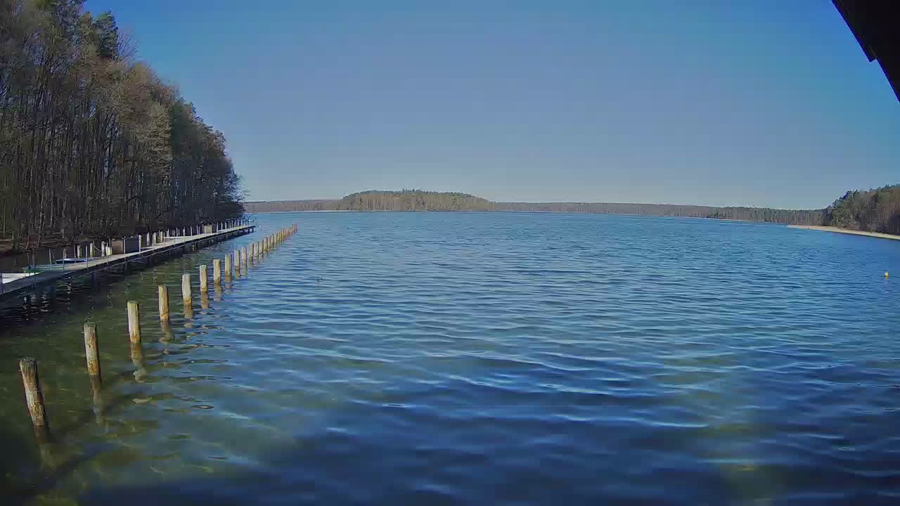 Archiv Foto Webcam Stechlinsee