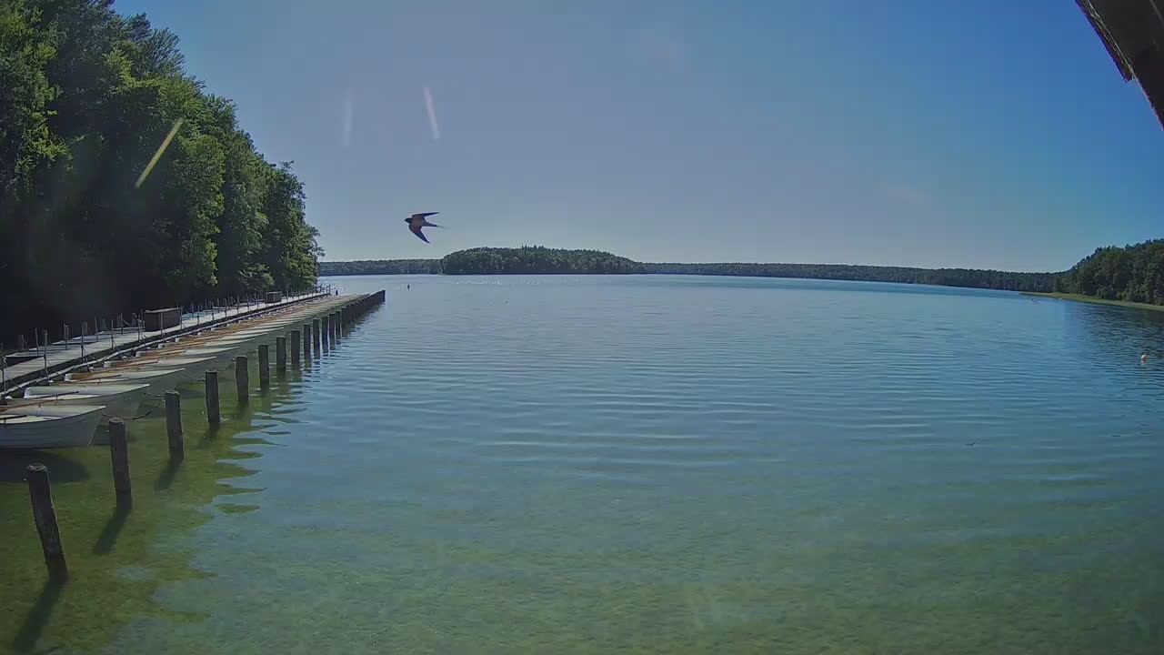 Archiv Foto Webcam Stechlinsee