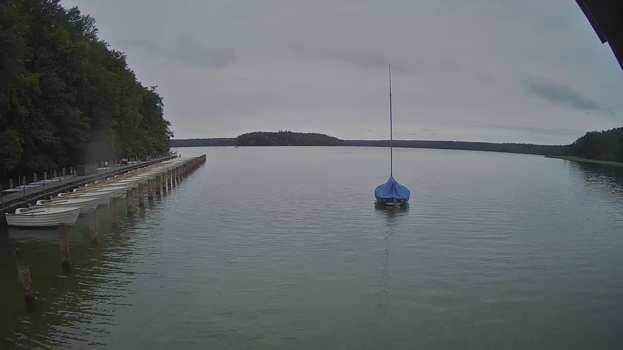 Archived image Webcam Stechlin Lake