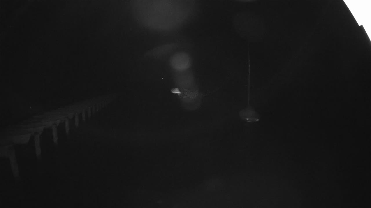 Archiv Foto Webcam Stechlinsee