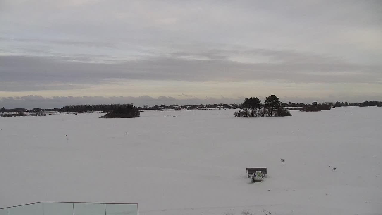 Archiv Foto Webcam Sylt: Golfplatz