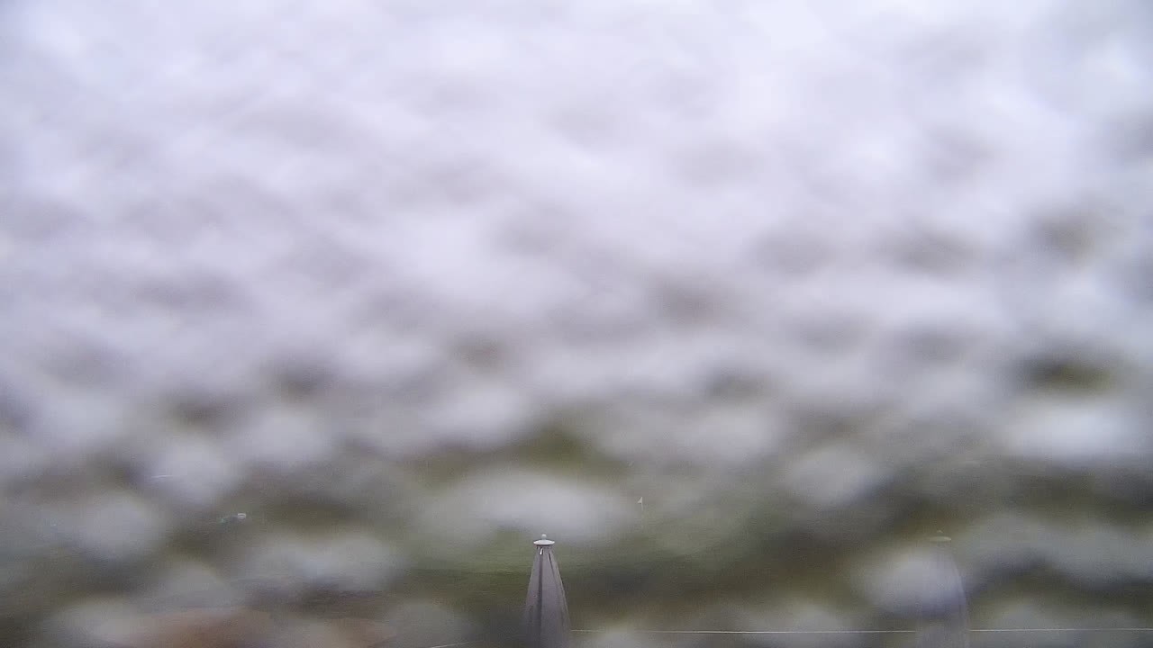 Archiv Foto Webcam Sylt: Golfplatz