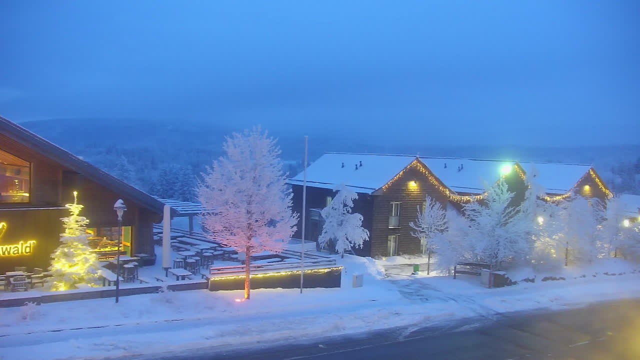 Archiv Foto Webcam Torfhaus im Harz