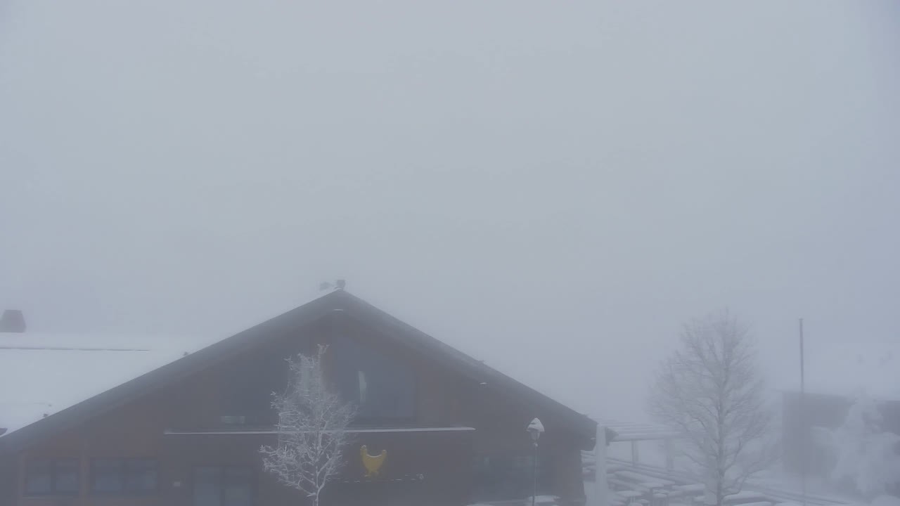 Archiv Foto Webcam Torfhaus im Harz