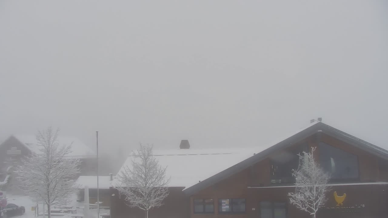 Archiv Foto Webcam Torfhaus im Harz