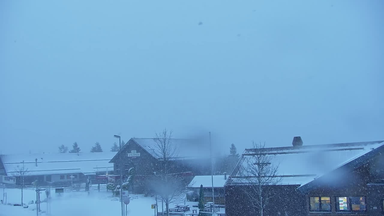 Archiv Foto Webcam Torfhaus im Harz