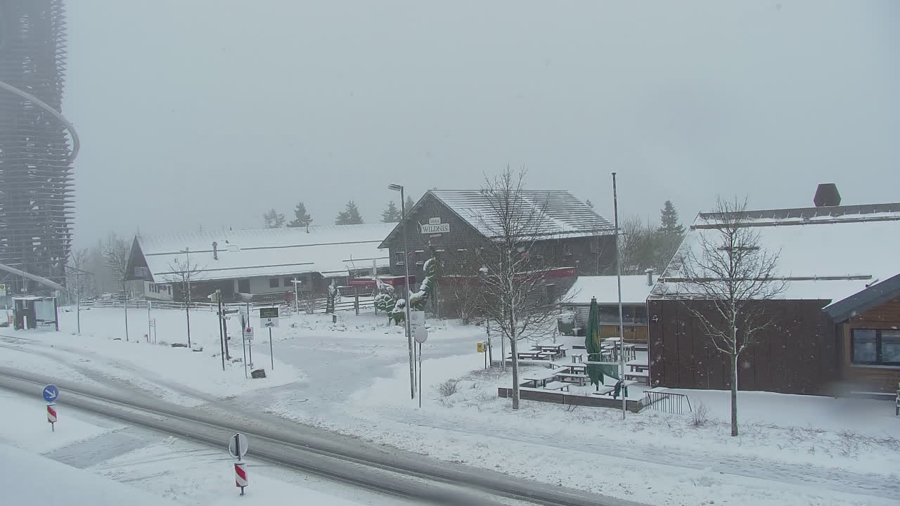 Archiv Foto Webcam Torfhaus im Harz