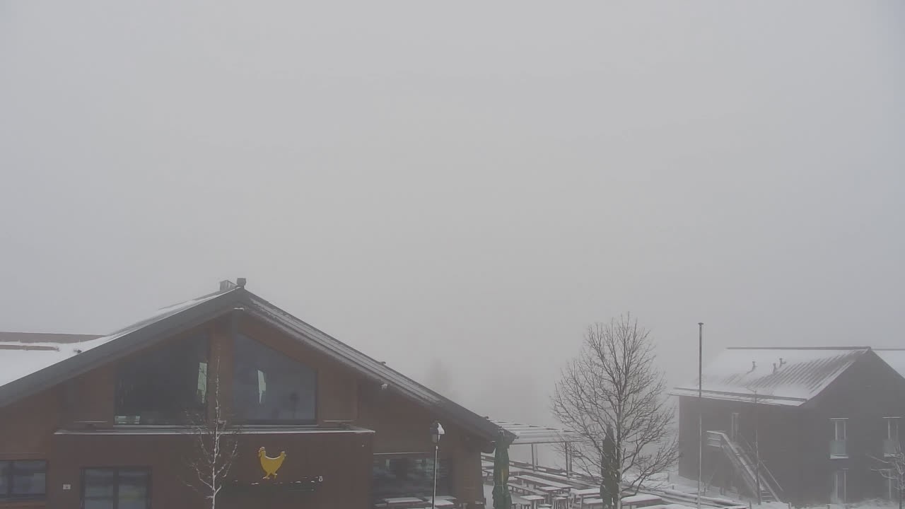 Archiv Foto Webcam Torfhaus im Harz