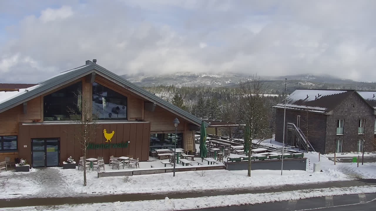 Archiv Foto Webcam Torfhaus im Harz