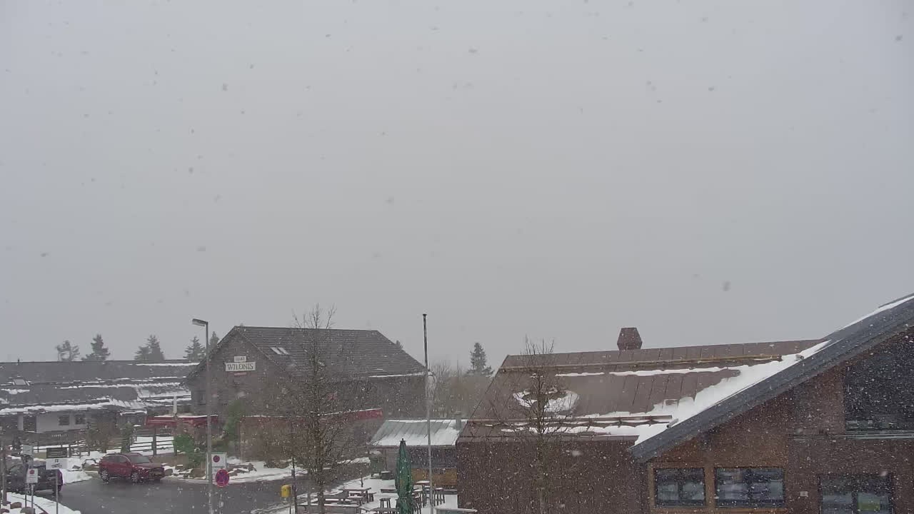 Archiv Foto Webcam Torfhaus im Harz