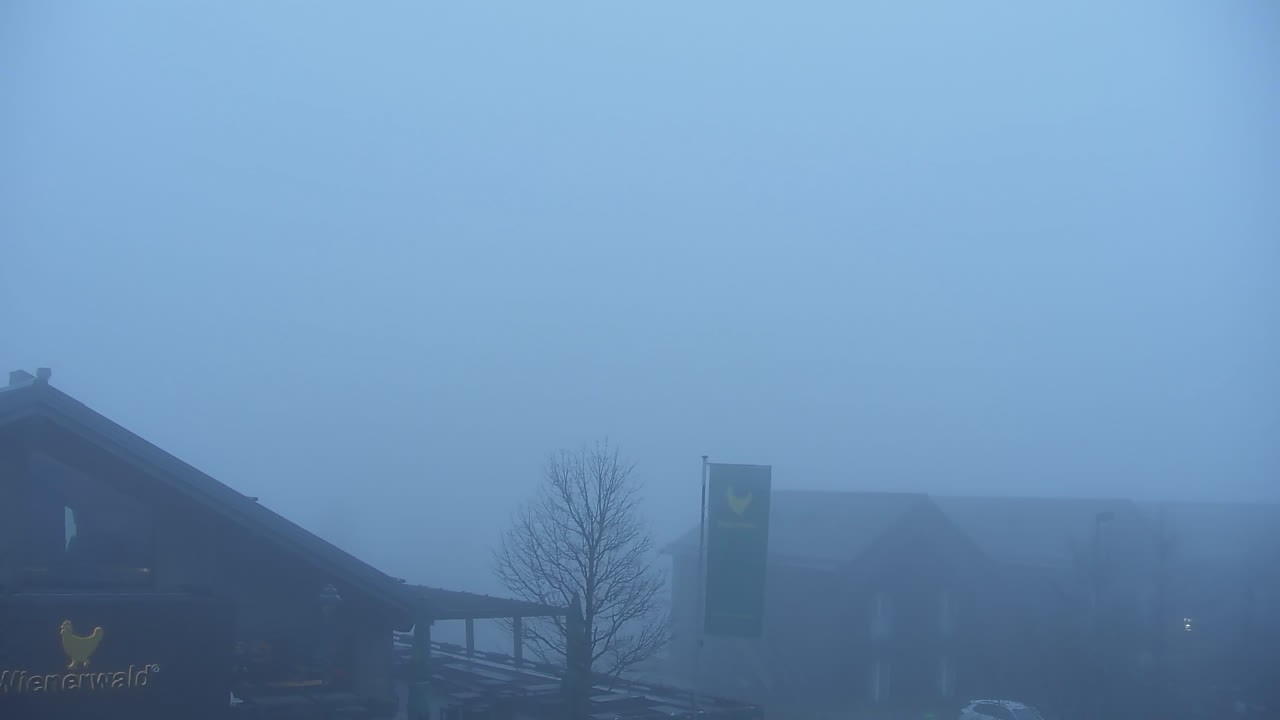 Archiv Foto Webcam Torfhaus im Harz