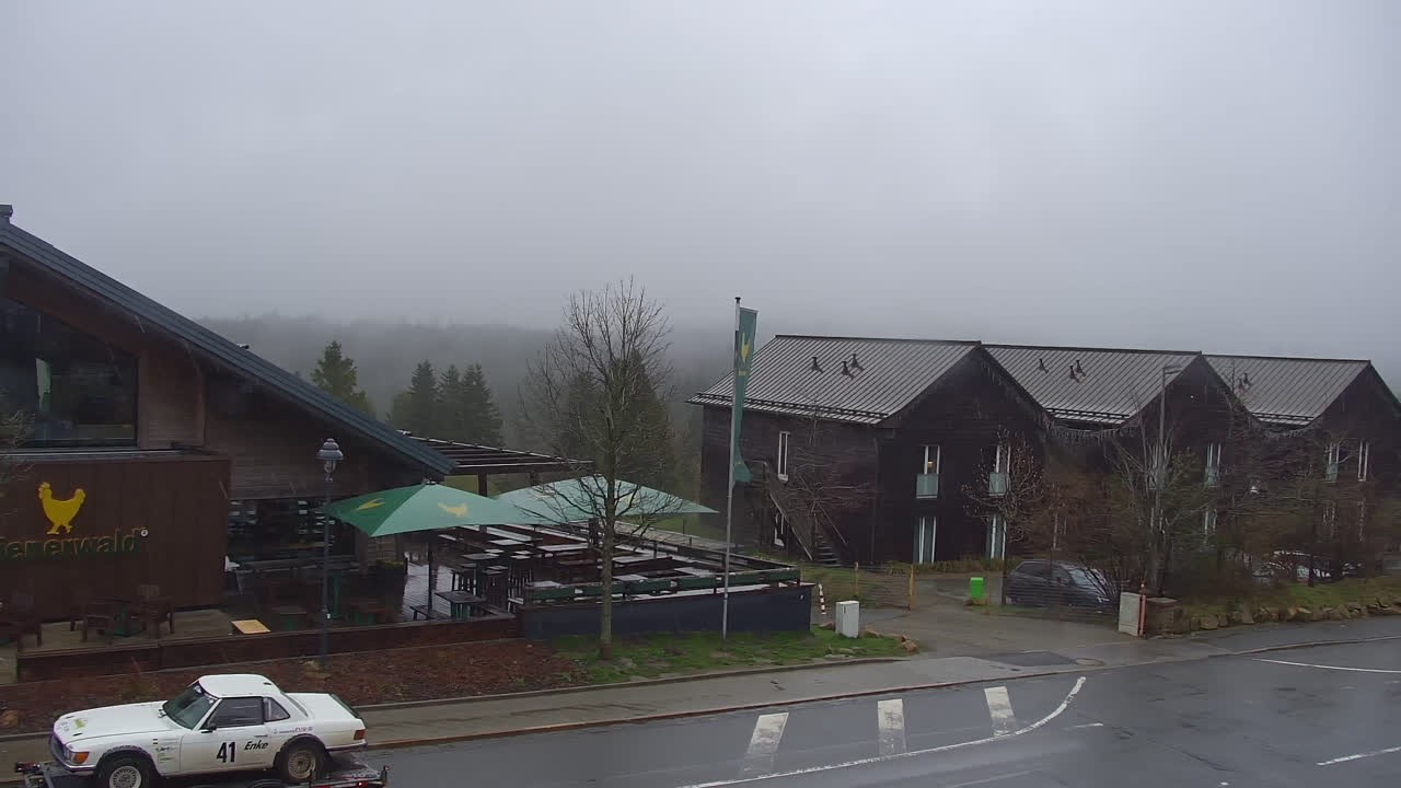 Archiv Foto Webcam Torfhaus im Harz