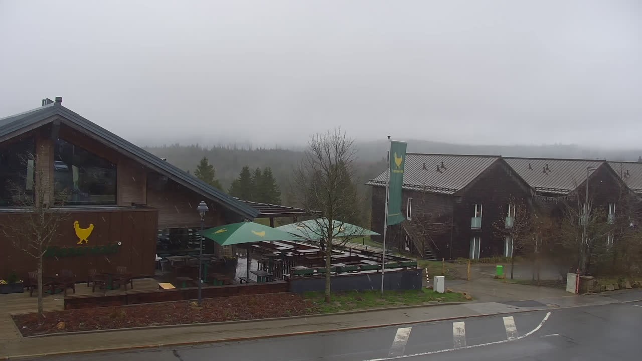 Archiv Foto Webcam Torfhaus im Harz